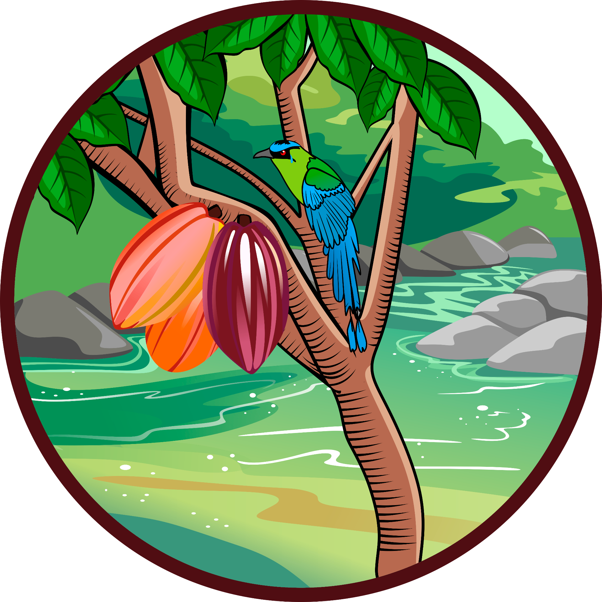 Cacao Col.Co